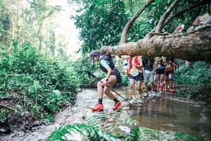 BIB: 
                            <button type="button" onclick="openModal(25467735)" class="btn btn-primary btn-sm float-right btn-popup" data-toggle="modal" data-target=".modal-high-quality">
                        <i class="fas fa-shopping-cart"></i> Add to Cart
                    </button>
                                            <button type="button" onclick="isThisMe(25467735, true)" class="btn btn-success btn-sm float-right btn-popup btn-isme hidden" data-toggle="tooltip" data-placement="bottom" title="นี่คือรูปของคุณใช่ไหม คลิกที่นี่เพื่อเอาเข้าอัลบั้ม">
                        <i class="fas fa-plus"></i> Add to album
                    </button>
                    <button type="button" onclick="isThisMe(25467735, false)" class="btn btn-warning btn-sm float-right btn-popup btn-isnotme hidden">
                        <i class="fas fa-ban"></i> Remove from album
                    </button>